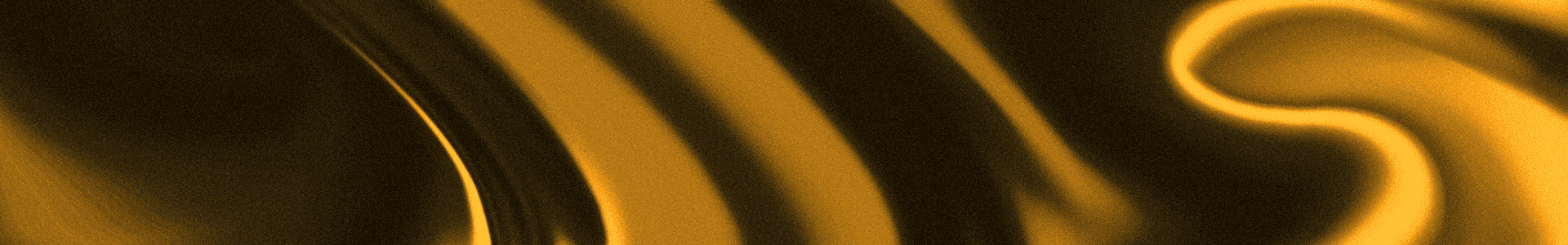 Profile Banner