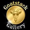 chanergoatstacks