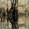chris_clark
