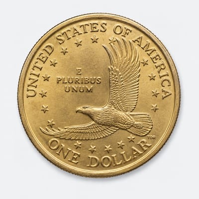 2000-P Sacagawea / Native American Dollar reverse