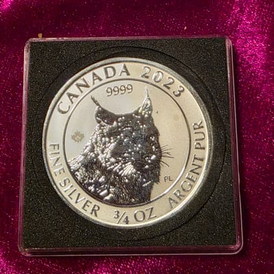 2023 3/4oz Canadian wildcat - additional view