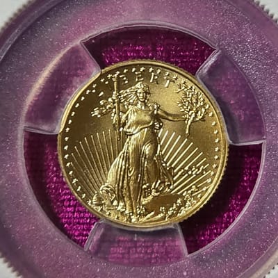 2026 1/4oz American Gold Eagle in custom slab  - additional view
