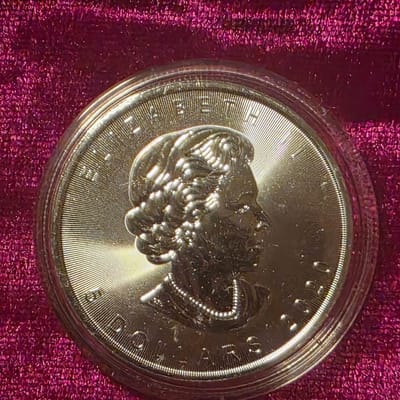 2020 Canadian Maple 1oz 