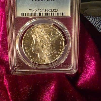 MORGAN LOT: 1882-S MS65 , 1883-O MS64, 1921-P MS63