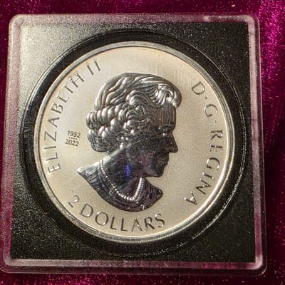 2023 3/4oz Canadian wildcat