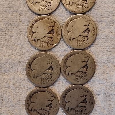 10 Walking Liberty Half Dollars Culls 