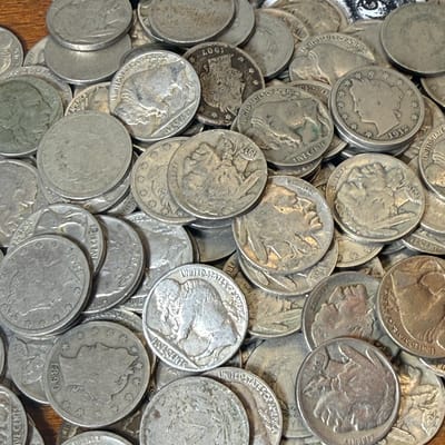 buffalo nickels bags of 40