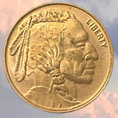 1/2 oz SILVER BUFFALO ROUND - additional view
