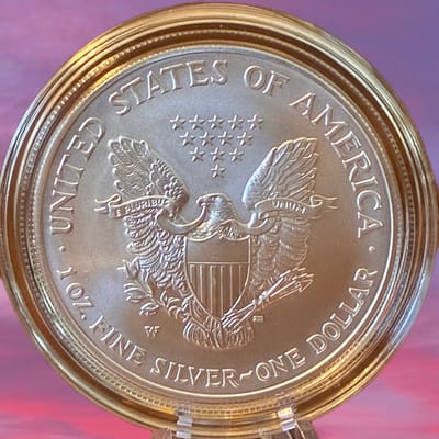 2006-W UNC BURNISHED SILVER EAGLE - additional view