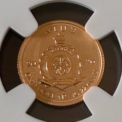REVERSE PF70  SPINOSAURUS 1 gram 22k GOLD - additional view