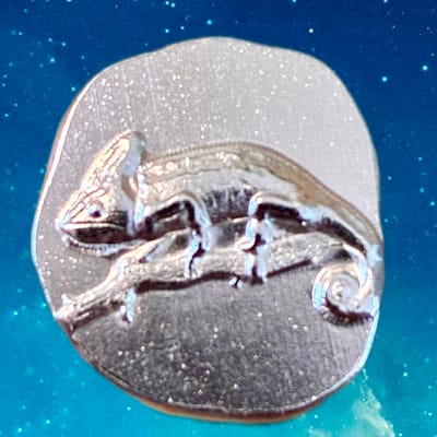 5 Gram SILVER Chameleon? 🤷🏻‍♂️