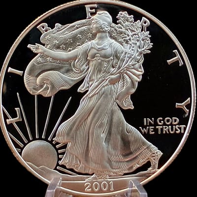 2001-W PROOF AMERICAN SILVER EAGLE 1 oz SILVER