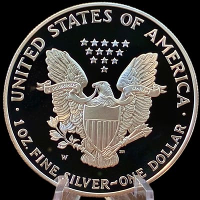 2001-W PROOF AMERICAN SILVER EAGLE 1 oz SILVER - additional view