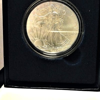 2015-W Burnished ASE-w/OGP - additional view
