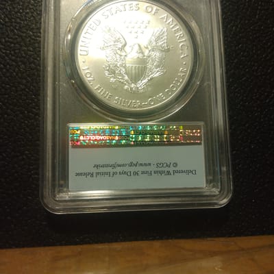 2017-W ASE Burnished-PCSG SP69 First Strikes -Flag - additional view