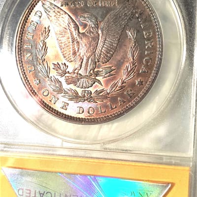 1896-P MS60 ANACS Toned Morgan dollar - additional view