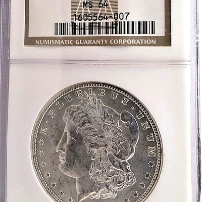 1889-S NGC MS64 toned Morgan dollar