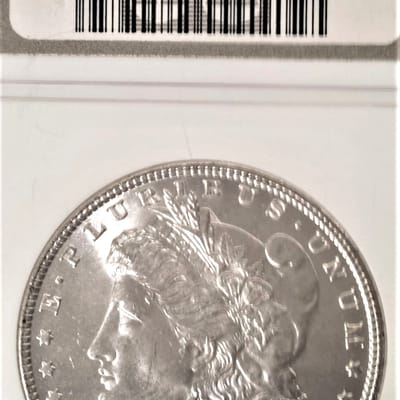 1884-P NGC MS65 Morgan dollar