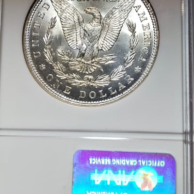 1884-P NGC MS65 Morgan dollar - additional view