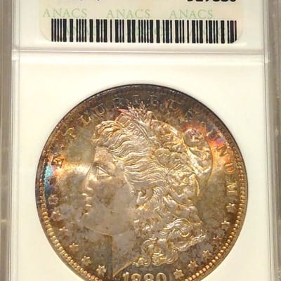 1880-P ANACS MS65 Toned Morgan dollar - additional view