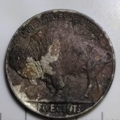 1924 Buffalo nickel  - additional view