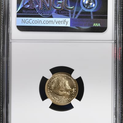 2026 1/10 oz Gold Eagle G$5 NGC MS69 - additional view