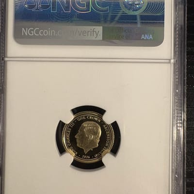 Gold queen Elizabeth - additional view