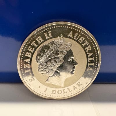 1 oz 2001 YOT snake - additional view
