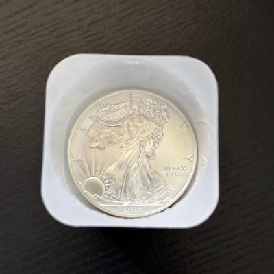 15 ASE 2020 - additional view
