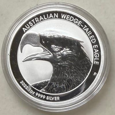 2022 Australian Wedge Tail Eagle