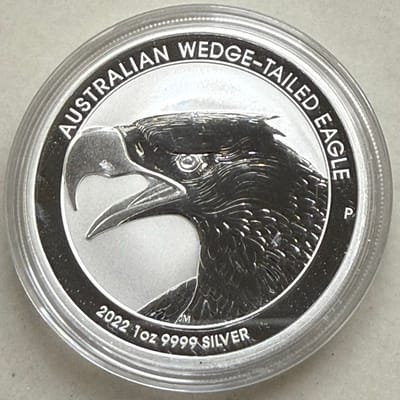 2022 Australian Wedge Tail Eagle - additional view
