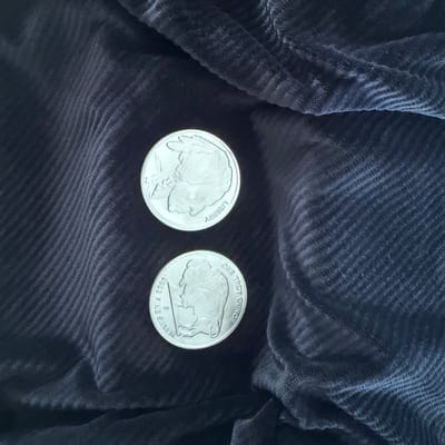Buffalo Round