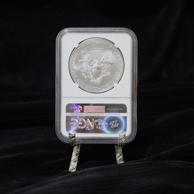 2015 Burnished Silver Eagle - additional view