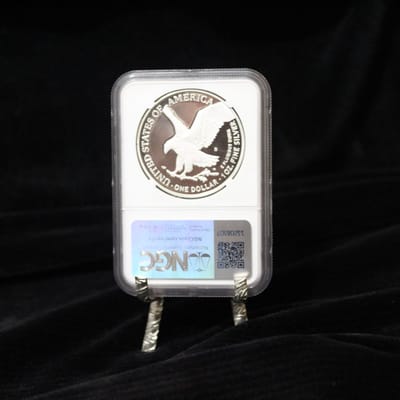 2024 S Eagle - additional view