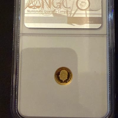 2025 .5 Aldemey G£5 Una & the Lion of 69 ultra - additional view
