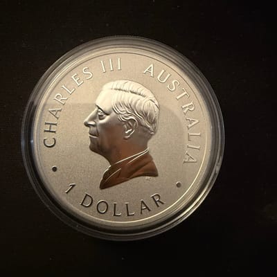 2026 Australia Wedge Tailed Eagle 1oz .999 Silver - additional view