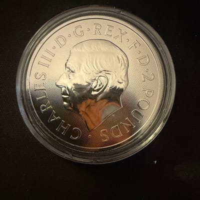 2024 UK mint Lion & Eagle 1oz .999 silver - additional view