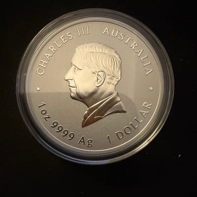 2026P Australia Lunar Year of the Horse 1oz silver - additional view