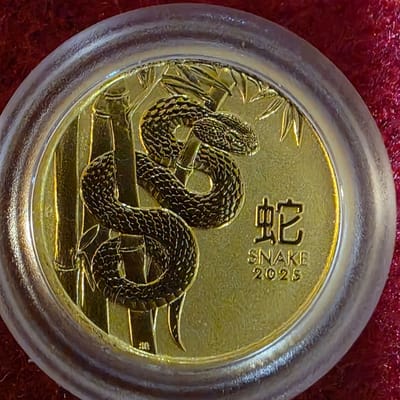 2025 1/20 oz Perth Lunar Series Year of the Snake
