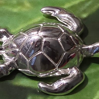 .999 Silver Sea Turtle 3D  - additional view