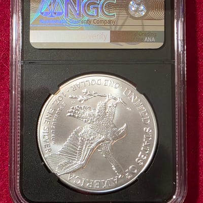 2026 Eagle MS-70 - additional view