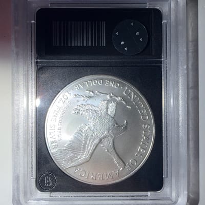 2023 Bradford exchange Silver Eagle unc - additional view