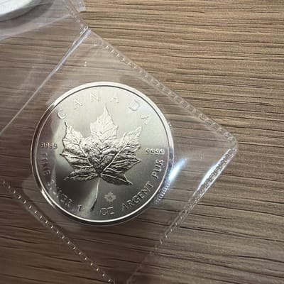 2026 Canadian Silver Maple