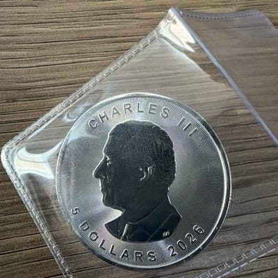 2026 Canadian Silver Maple - additional view