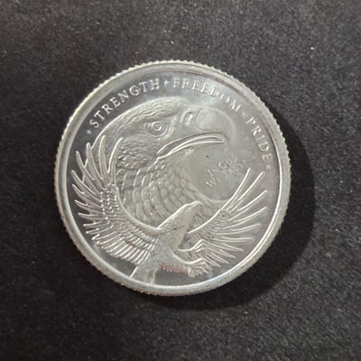 1/10 oz Silver round