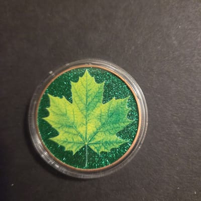1oz colorized copper round