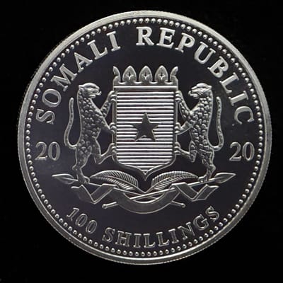 2020 Leopard 1 oz Silver Coin African Wildlife - additional view