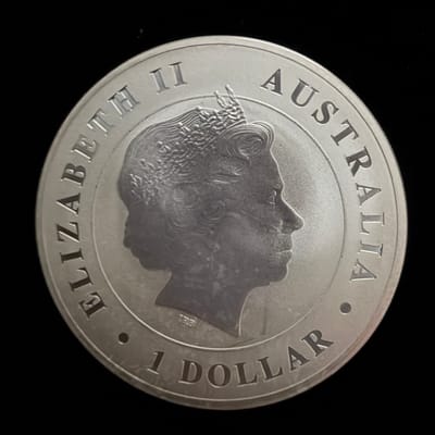2014 Saltwater Crocodile 1 oz Silver Coin - additional view