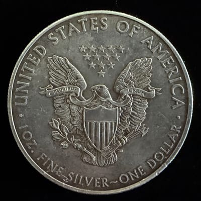 2020 American Silver Eagle 1 oz .999 Silver Coin - additional view