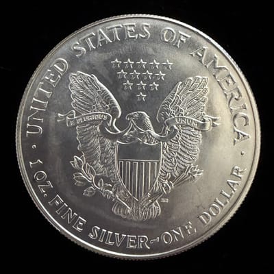 1994 American Silver Eagle 1 oz .999 Silver Coin - additional view